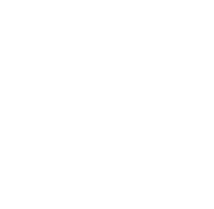 Logo Seguridad Ciudadana